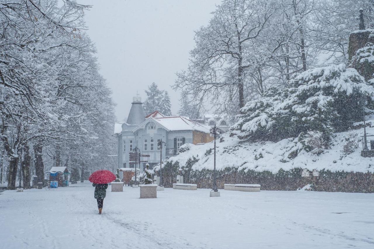 Vila Emilia Vrnjačka Banja Exterior foto